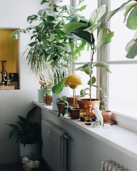 Fensterbank mit Pflanzentöpfen und Porzellanfiguren im Studio Maison Palmė in Berlin
